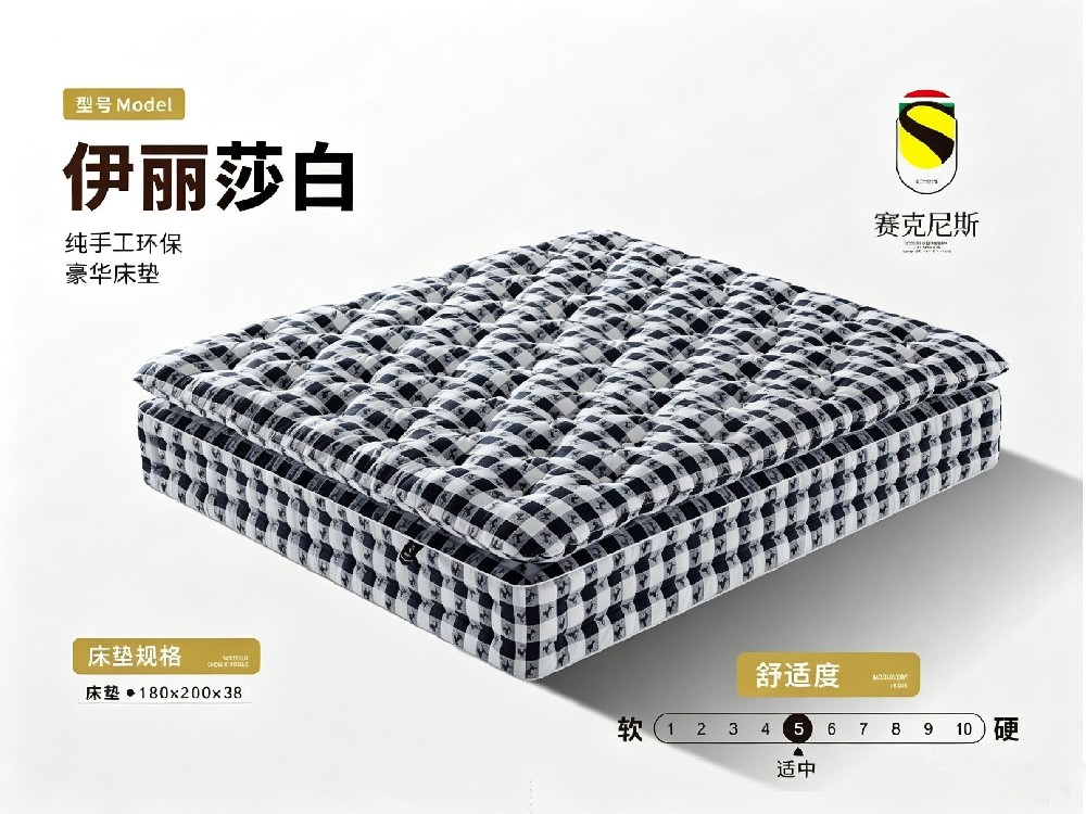 伊丽莎白